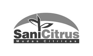 sanicitrus